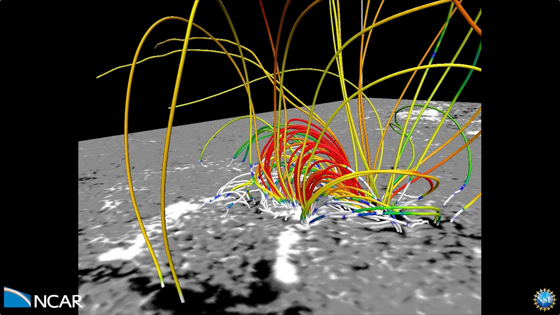 Radiative MHD Simulation of a Solar Active Region